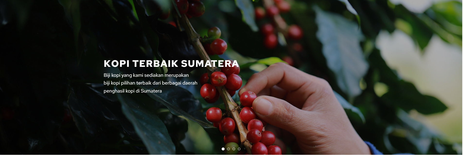 Kopi Sumatera
